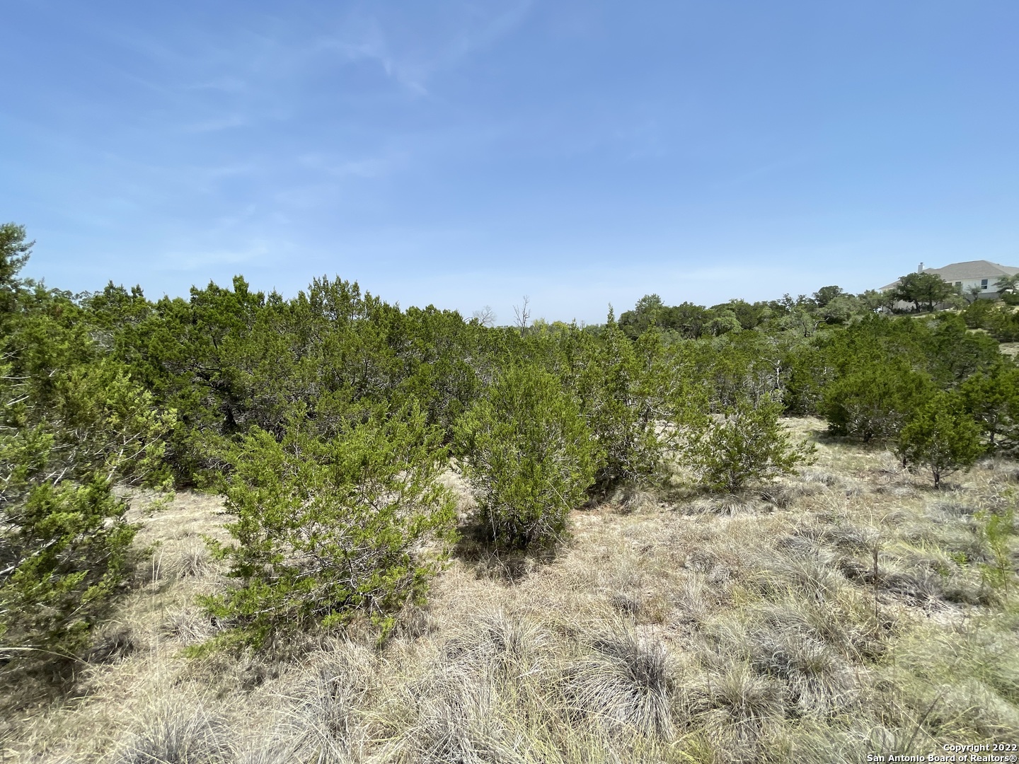 421 Blue Bonnet Breeze Spring Branch, TX 78070 - Photo 6 of 13 a view of a lush green space with sea