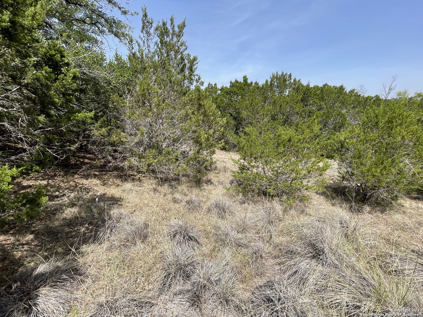 421 Blue Bonnet Breeze Spring Branch, TX 78070 - Photo 7 of 13 a view of a forest with a tree