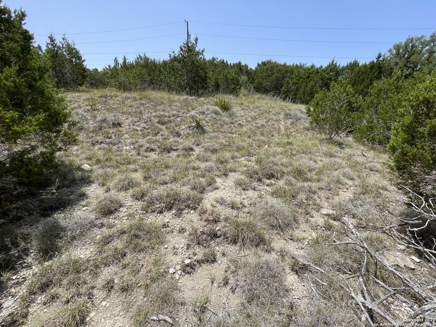 421 Blue Bonnet Breeze Spring Branch, TX 78070 - Photo 8 of 13 a view of a field with trees in the background