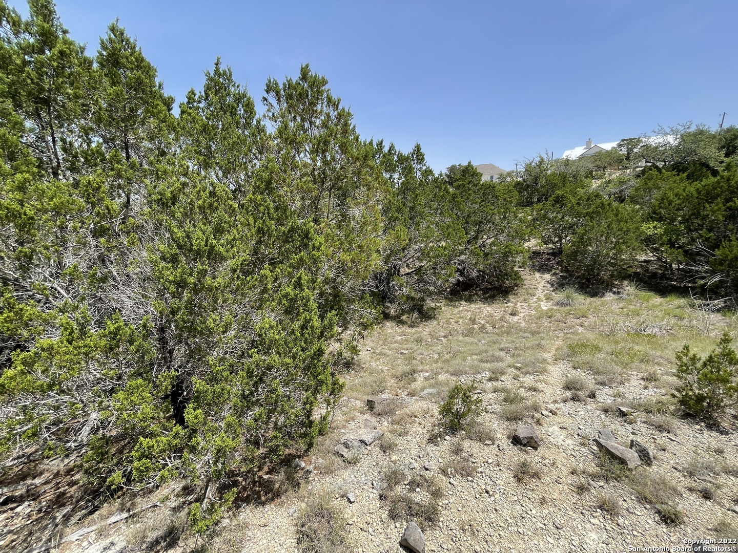 421 Blue Bonnet Breeze Spring Branch, TX 78070 - Photo 9 of 13 a view of a yard with a tree