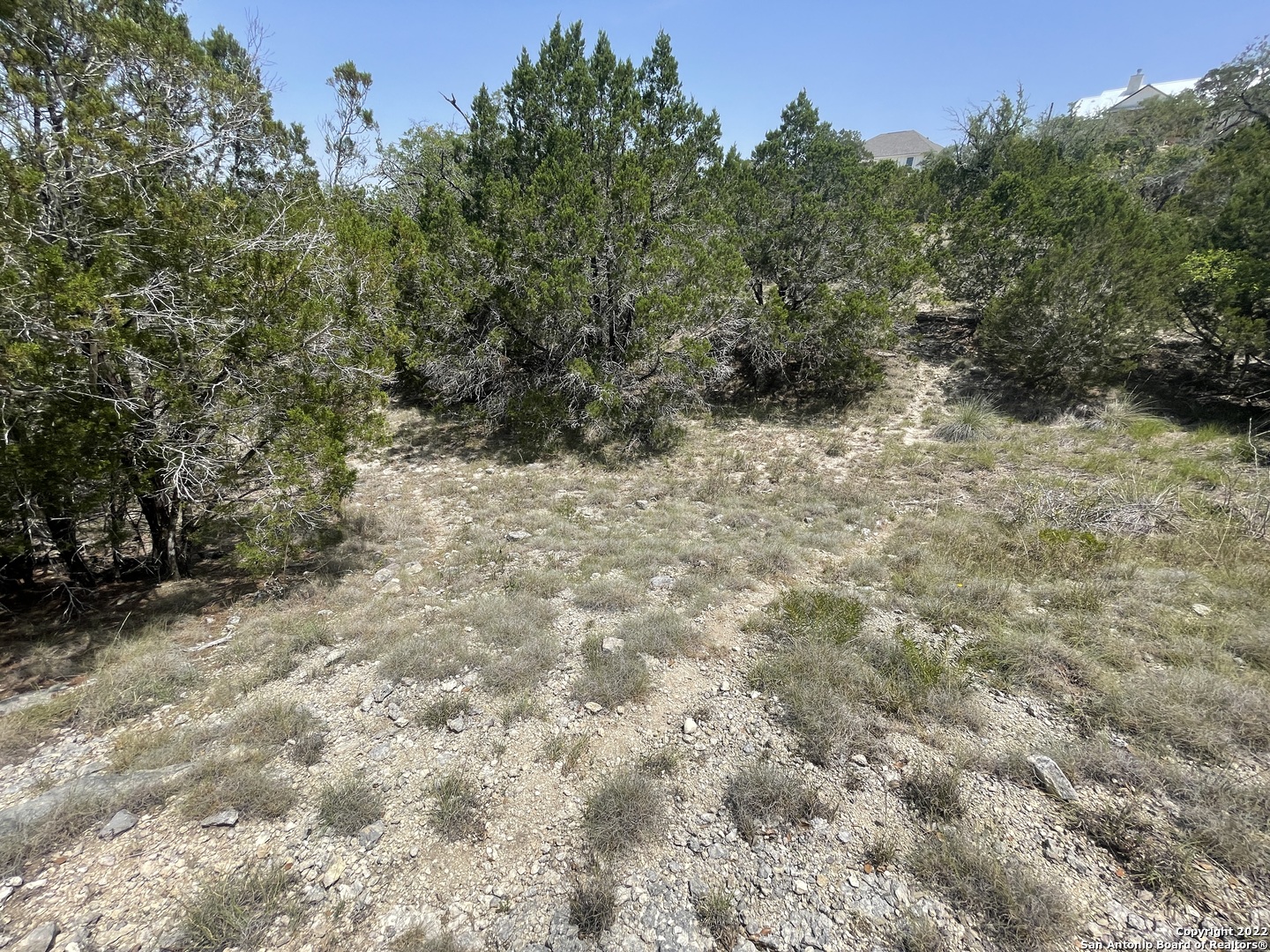 421 Blue Bonnet Breeze Spring Branch, TX 78070 - Photo 10 of 13 a view of a forest with trees in the background