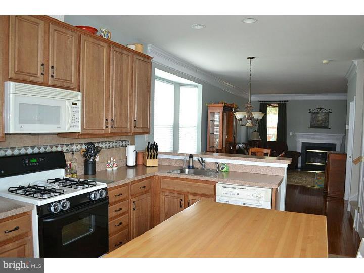 16 West Rambo Street Bridgeport, PA 19405 - Photo 7 of 25 Kitchen
