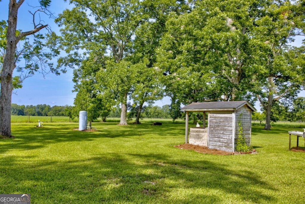 1034 Cecil Tyre Road Bristol, GA 31518 - Photo 40 of 63
