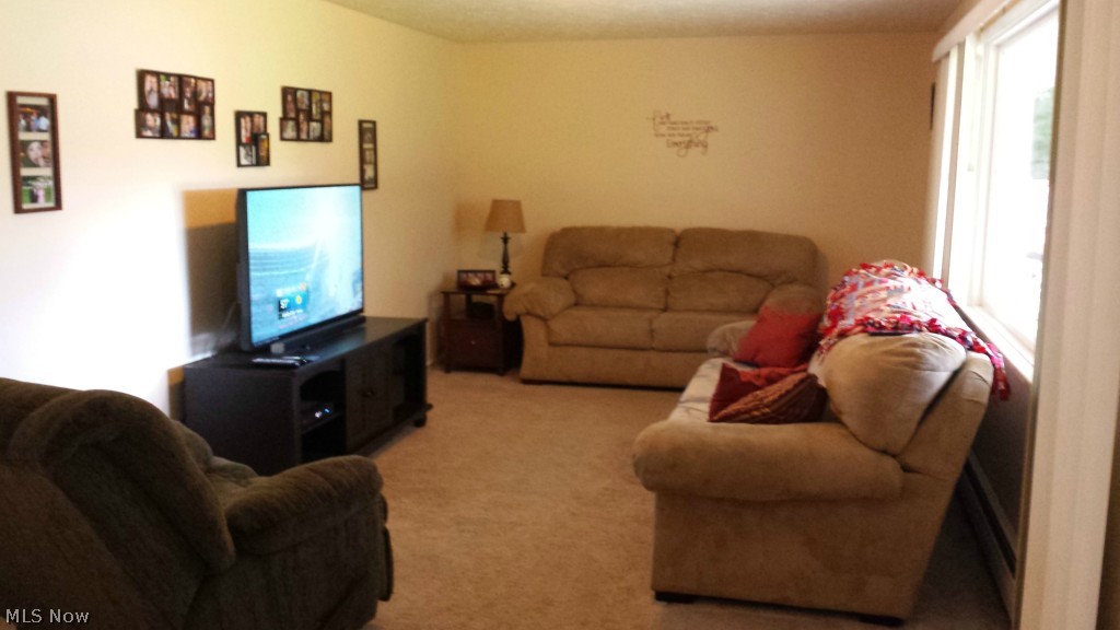4000 North Ridge Road East Ashtabula, OH 44004 - Photo 14 of 24