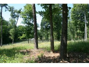 1419 Allison Road, Unit 2 Piney Flats, TN 37686 - Photo 1 of 4 Photo 1