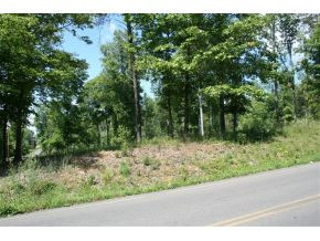 1419 Allison Road, Unit 2 Piney Flats, TN 37686 - Photo 2 of 4 Photo 2