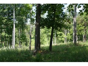 1419 Allison Road, Unit 2 Piney Flats, TN 37686 - Photo 4 of 4 Photo 4