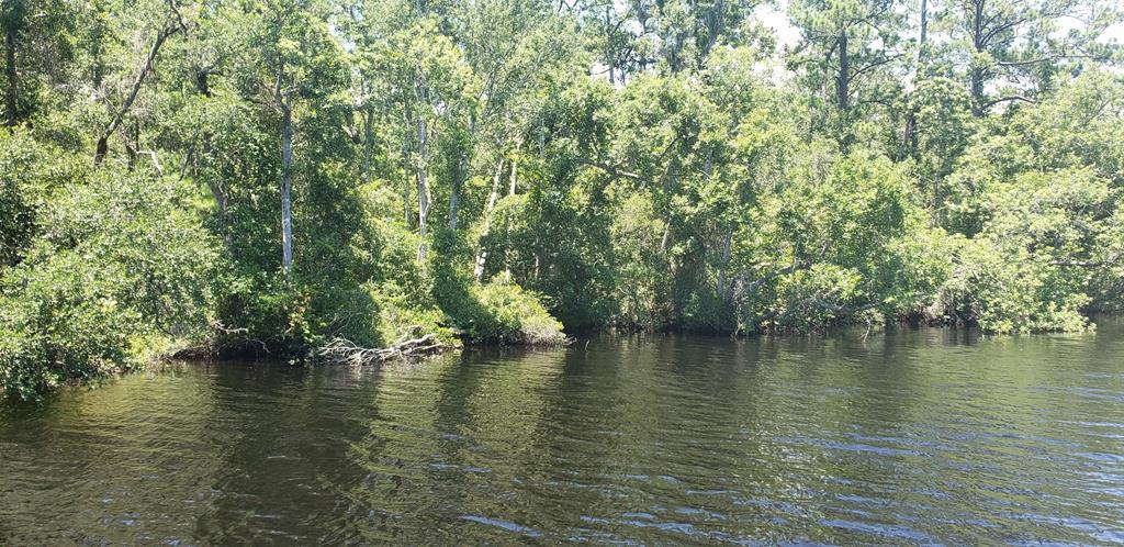 2 Hickory Hammock Road Carrabelle, FL 32322 - Photo 1 of 7