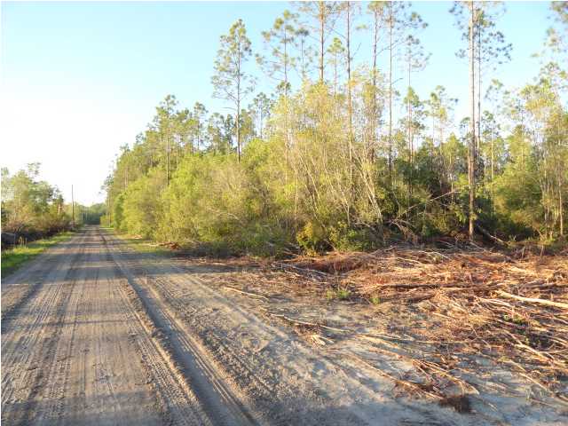 2 Hickory Hammock Road Carrabelle, FL 32322 - Photo 5 of 7