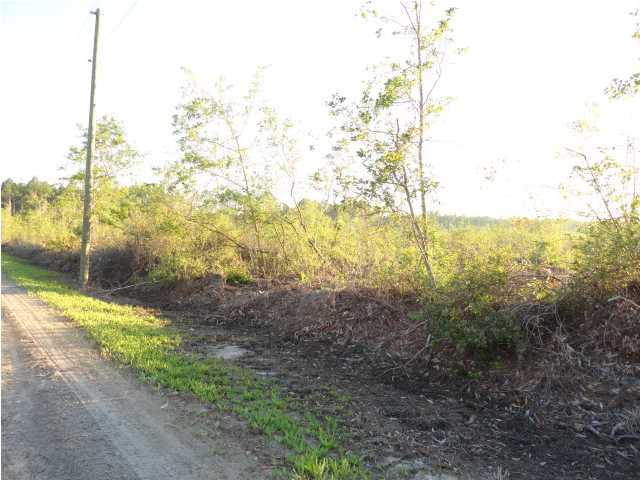 2 Hickory Hammock Road Carrabelle, FL 32322 - Photo 6 of 7