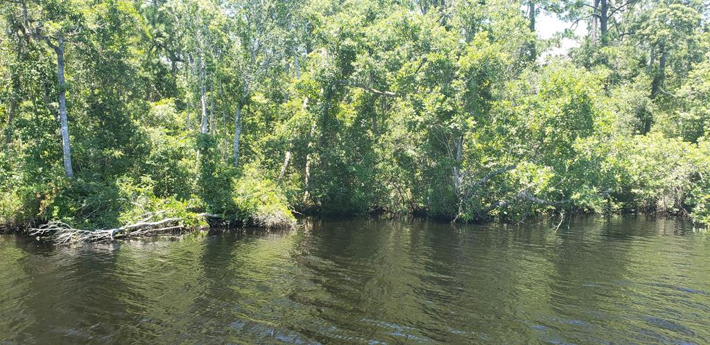 2 Hickory Hammock Road Carrabelle, FL 32322 - Photo 7 of 7