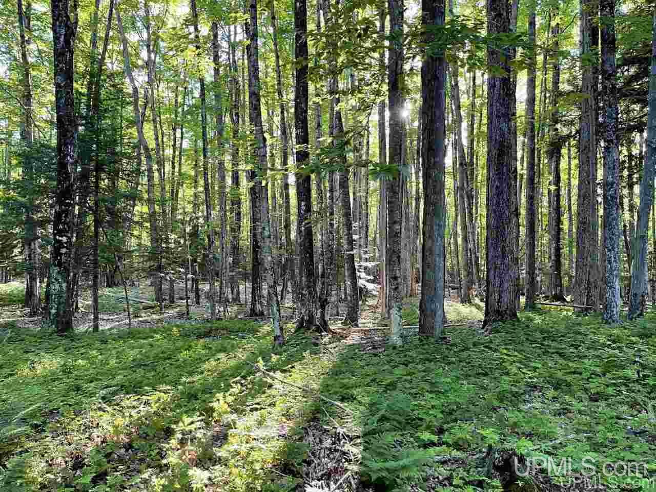 Tbd Tbd Saari Road Lanse, MI 49946 - Photo 19 of 27
