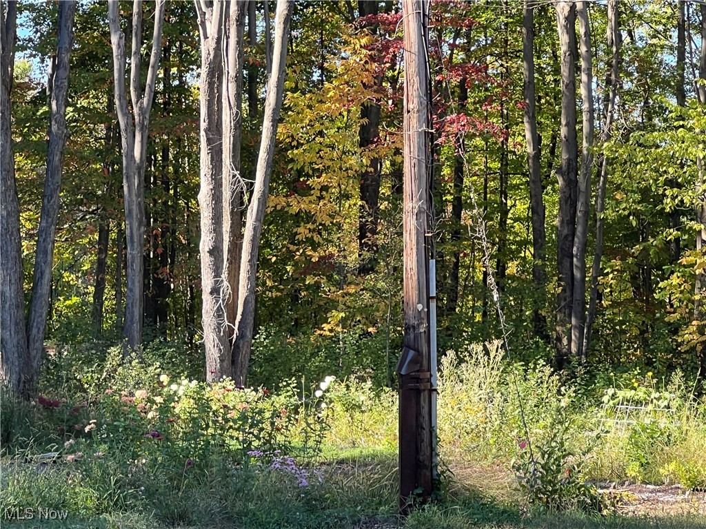 8625 Bainbridge Road Chagrin Falls, OH 44023 - Photo 13 of 20 View of nature