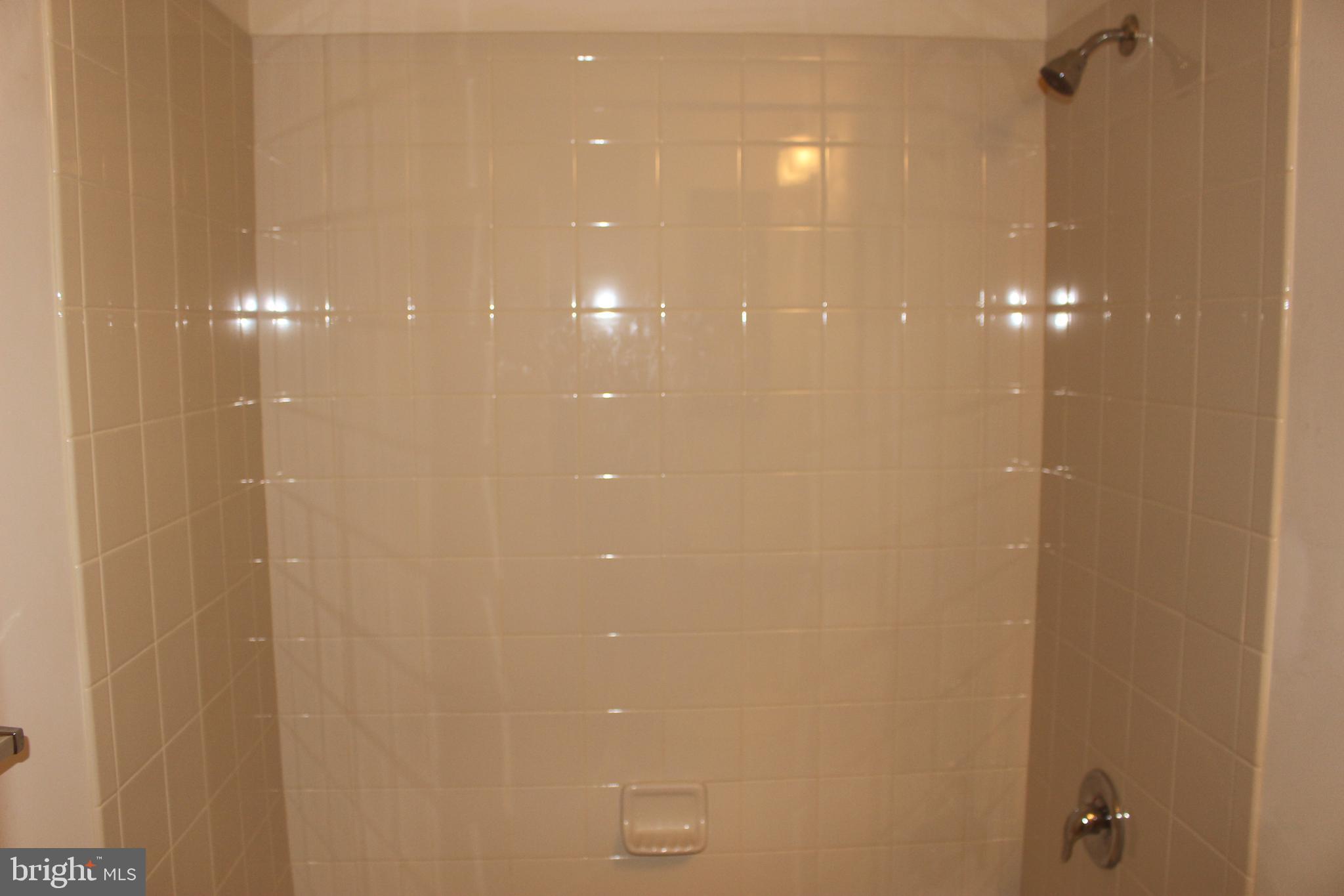 7410 Redleaf Row Road Brandywine, MD 20613 - Photo 25 of 36 Hall Bathroom