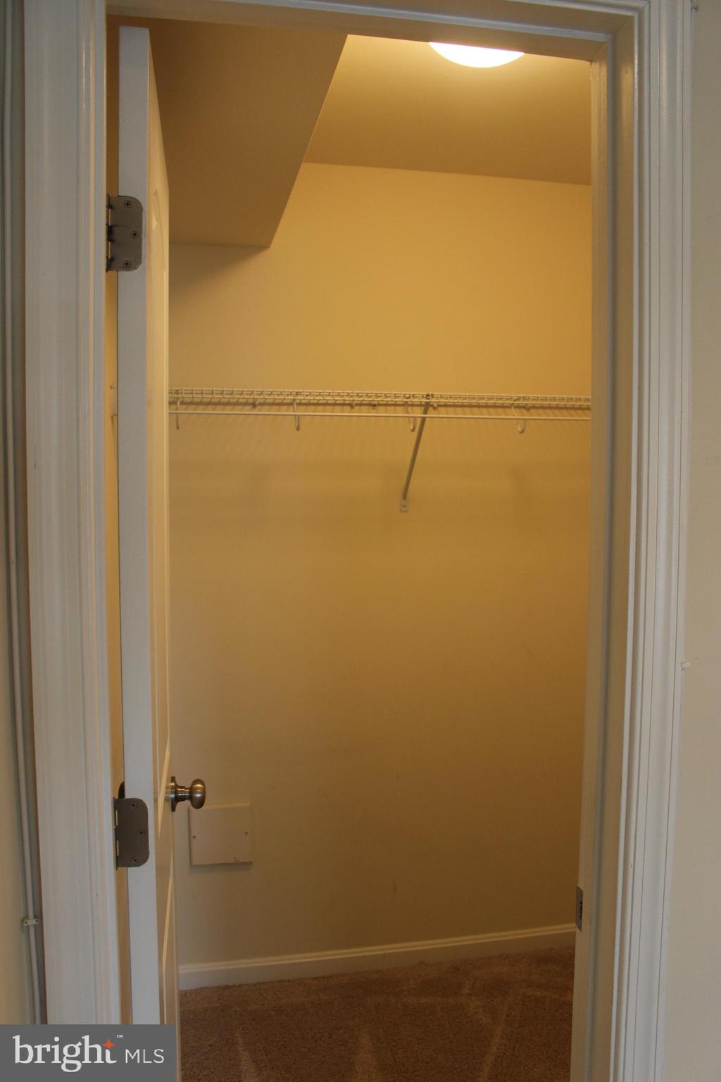 7410 Redleaf Row Road Brandywine, MD 20613 - Photo 4 of 36 Closet in Rec Room