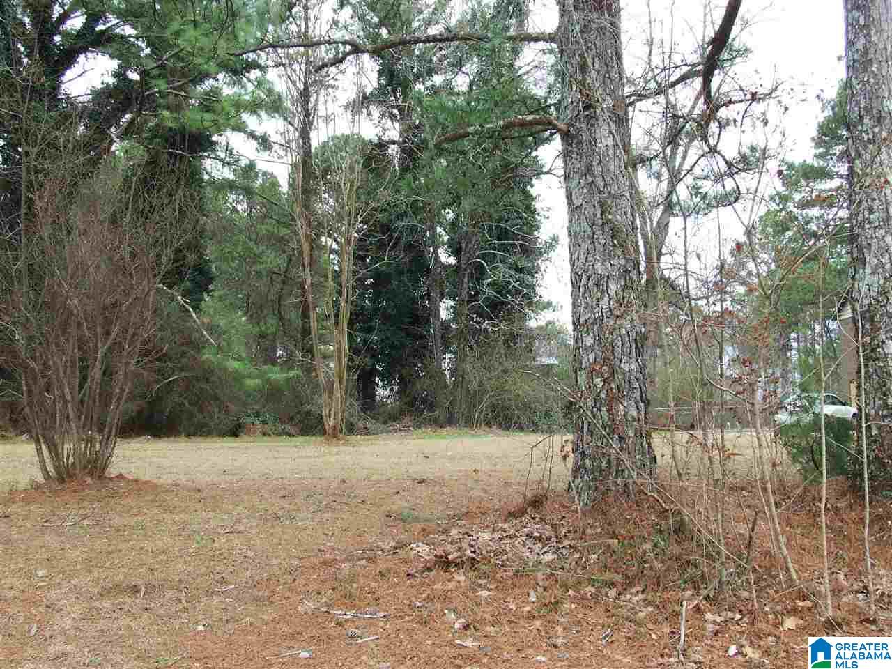 5507 South Shades Crest Road, Unit 1AC Bessemer, AL 35022 - Photo 6 of 12 Gallery Image 6
