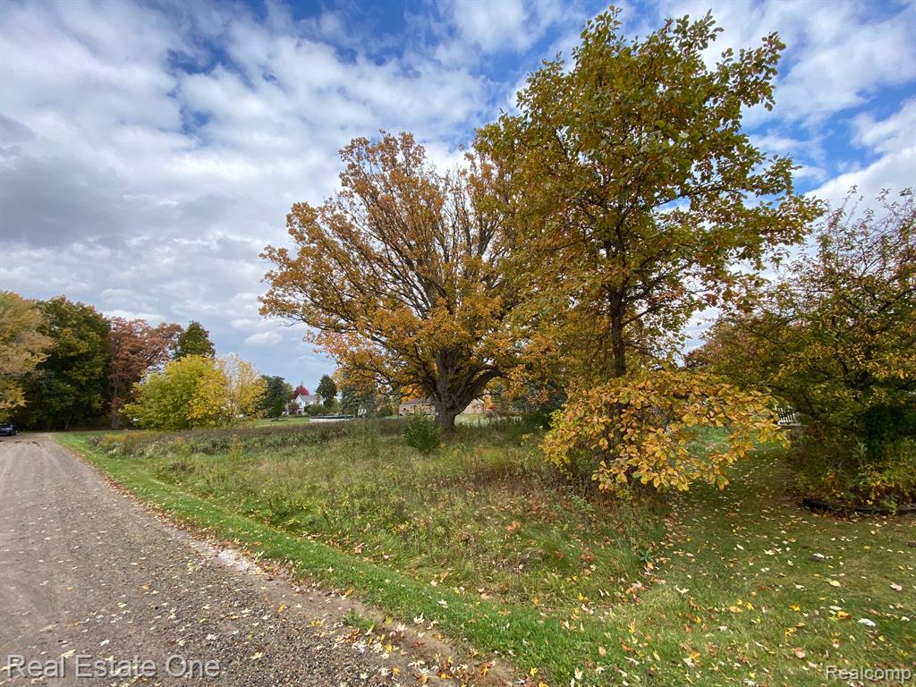 Vl Meadowlawn Road Fowlerville, MI 48836 - Photo 4 of 9