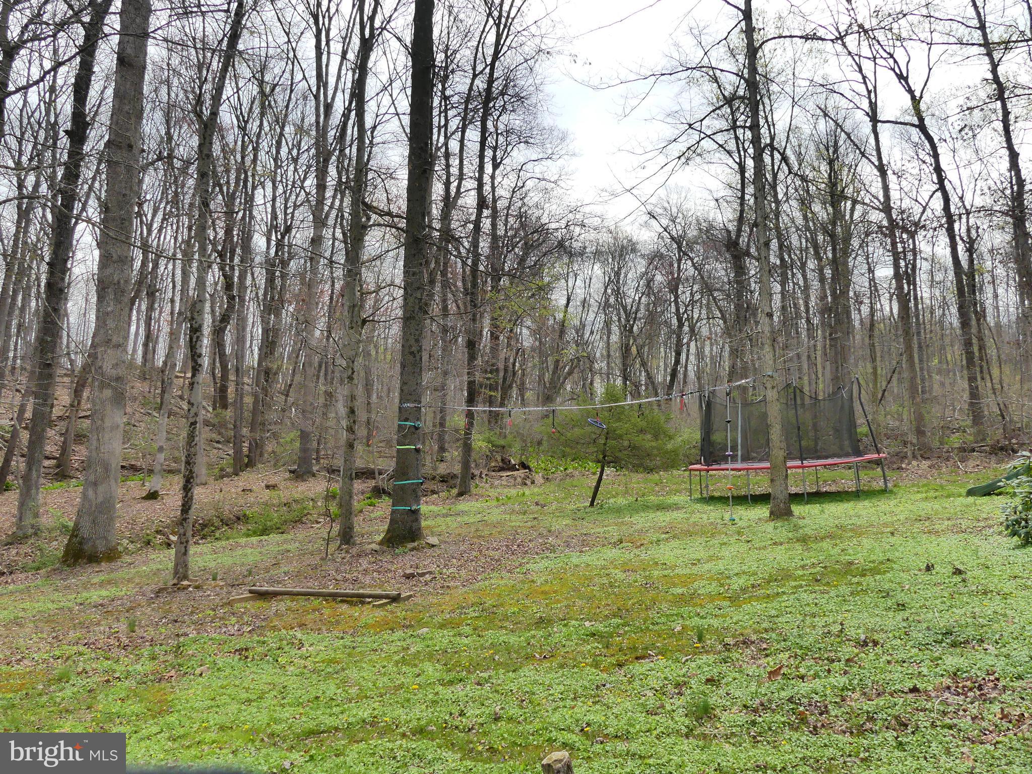 233 Torbert Road Fawn Grove, PA 17321 - Photo 54 of 65 Gallery Image 54
