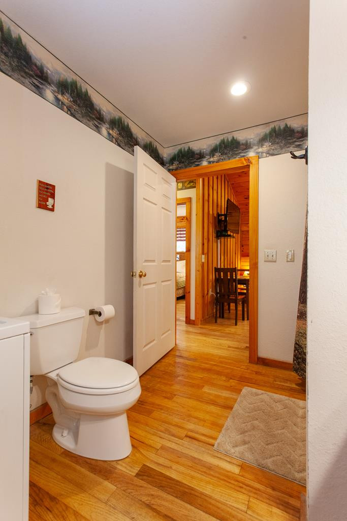 322 Hickory Br Road Whittier, NC 28789 - Photo 23 of 50