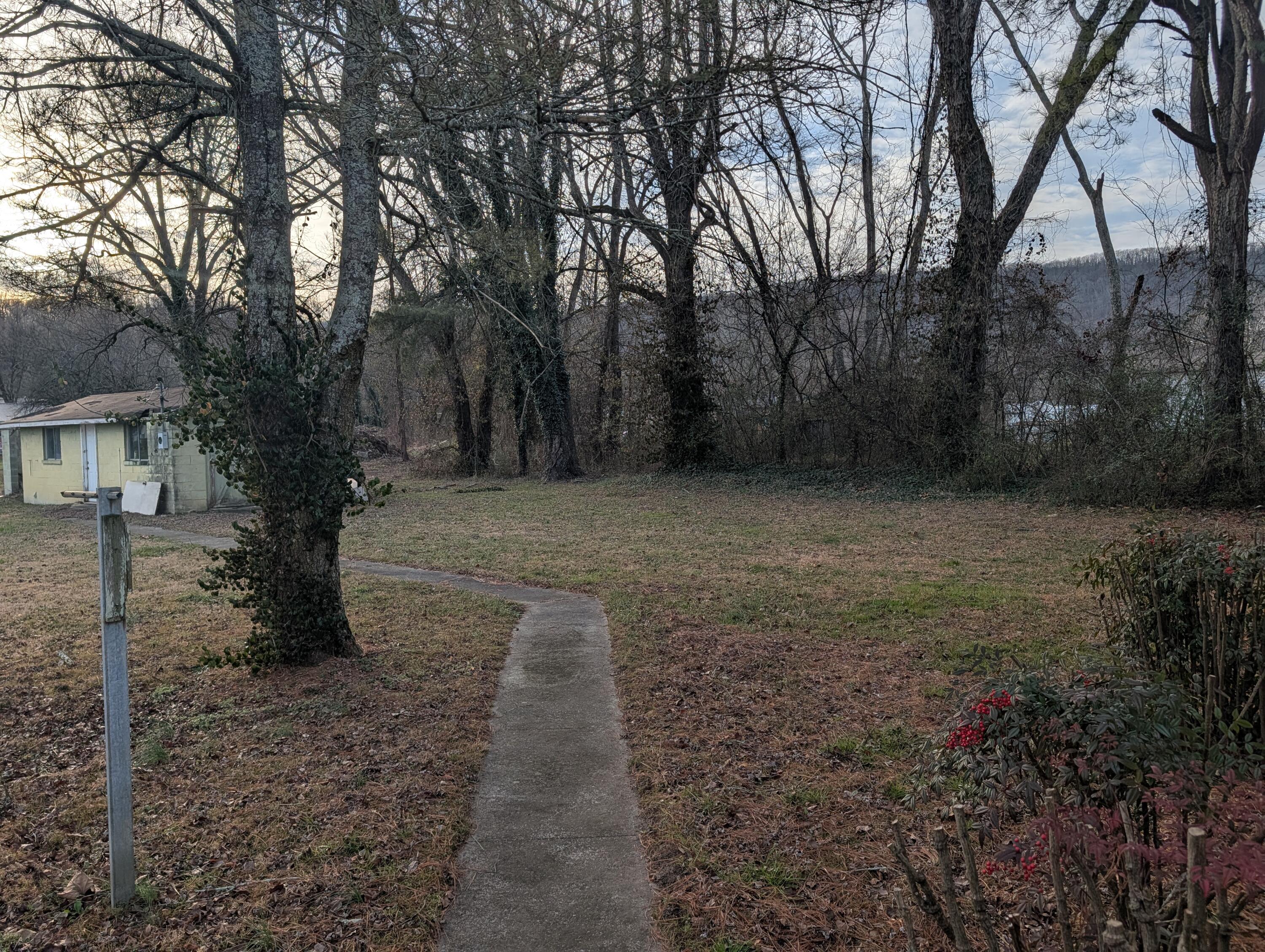 625 West Rhea Avenue Spring City, TN 37381 - Photo 38 of 41 PXL_20260119_215216954