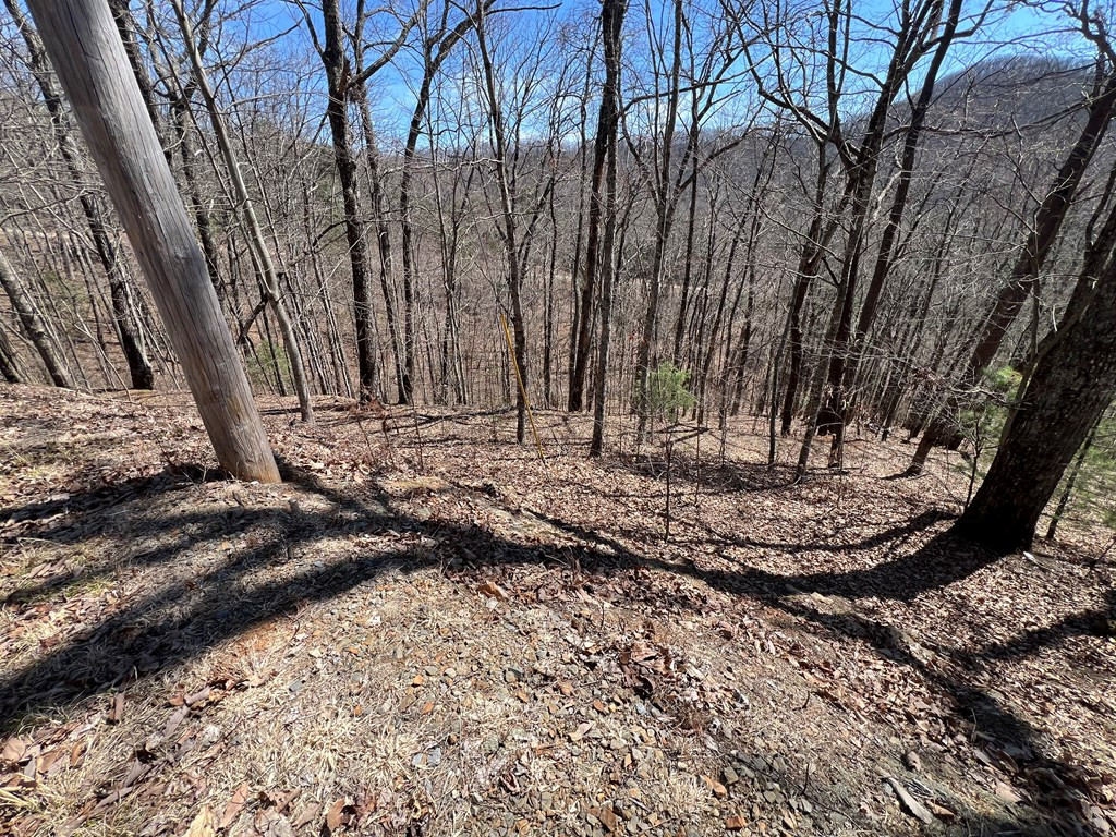 Lots Wolf Mountain Road Murphy, NC 28906 - Photo 13 of 27