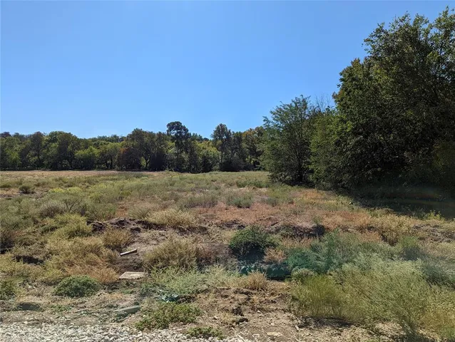 a view of a field with trees in background