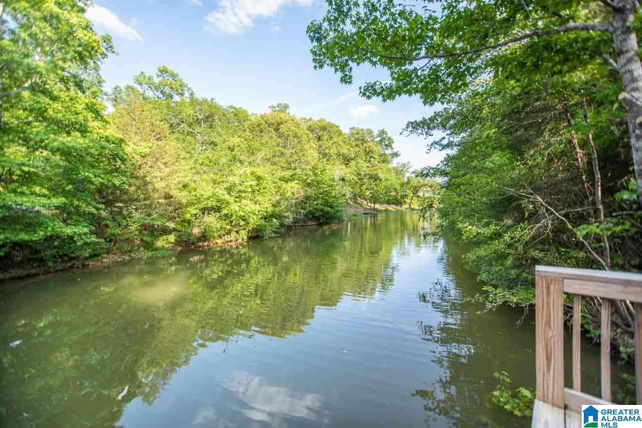 115 Lakeview Point Riverside, AL 35135 - Photo 42 of 50 Gallery Image 42