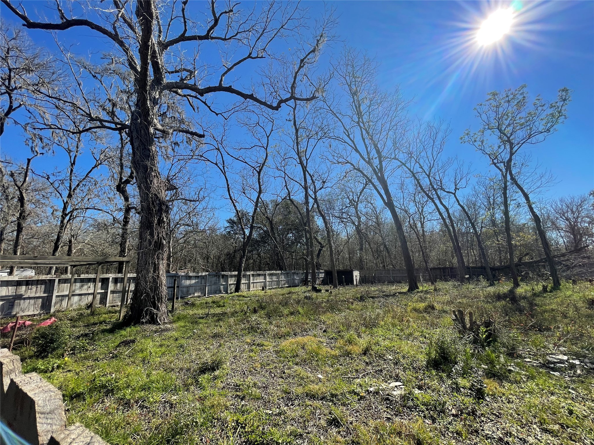 205 Sitka Drive Angleton, TX 77515 - Photo 2 of 6 a backyard of a house with lots of green space