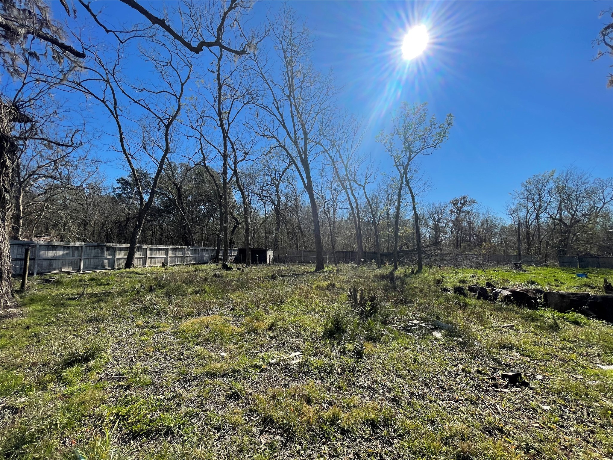 205 Sitka Drive Angleton, TX 77515 - Photo 4 of 6 a view of backyard with green space