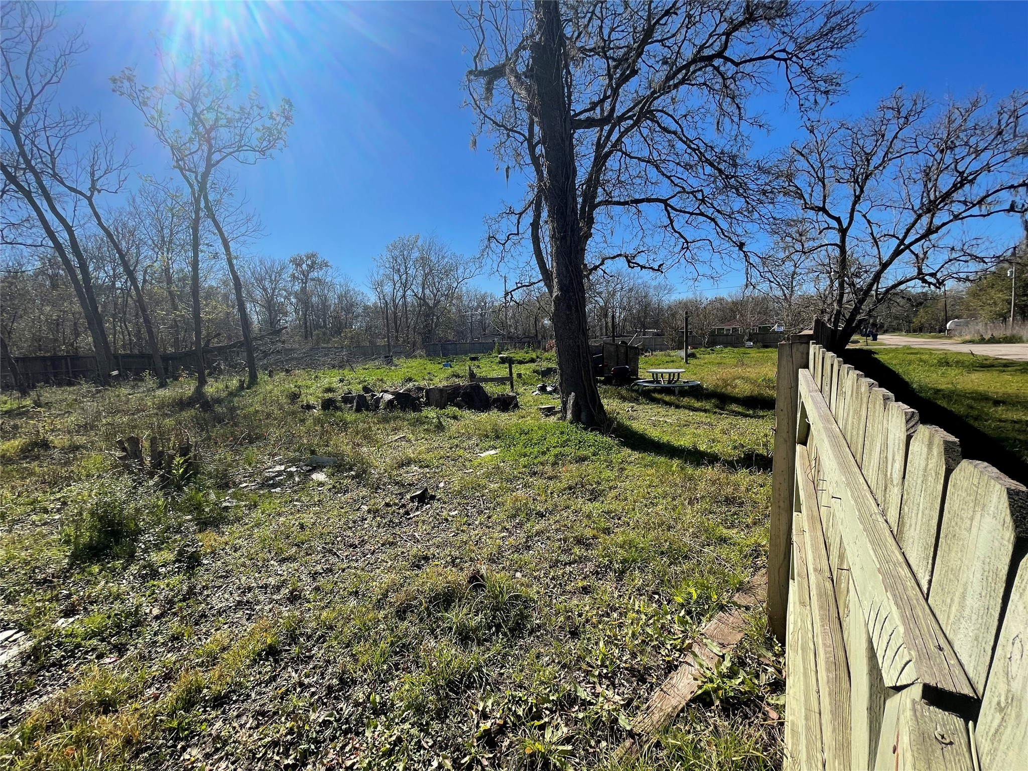205 Sitka Drive Angleton, TX 77515 - Photo 5 of 6 a backyard of a house with lots of green space
