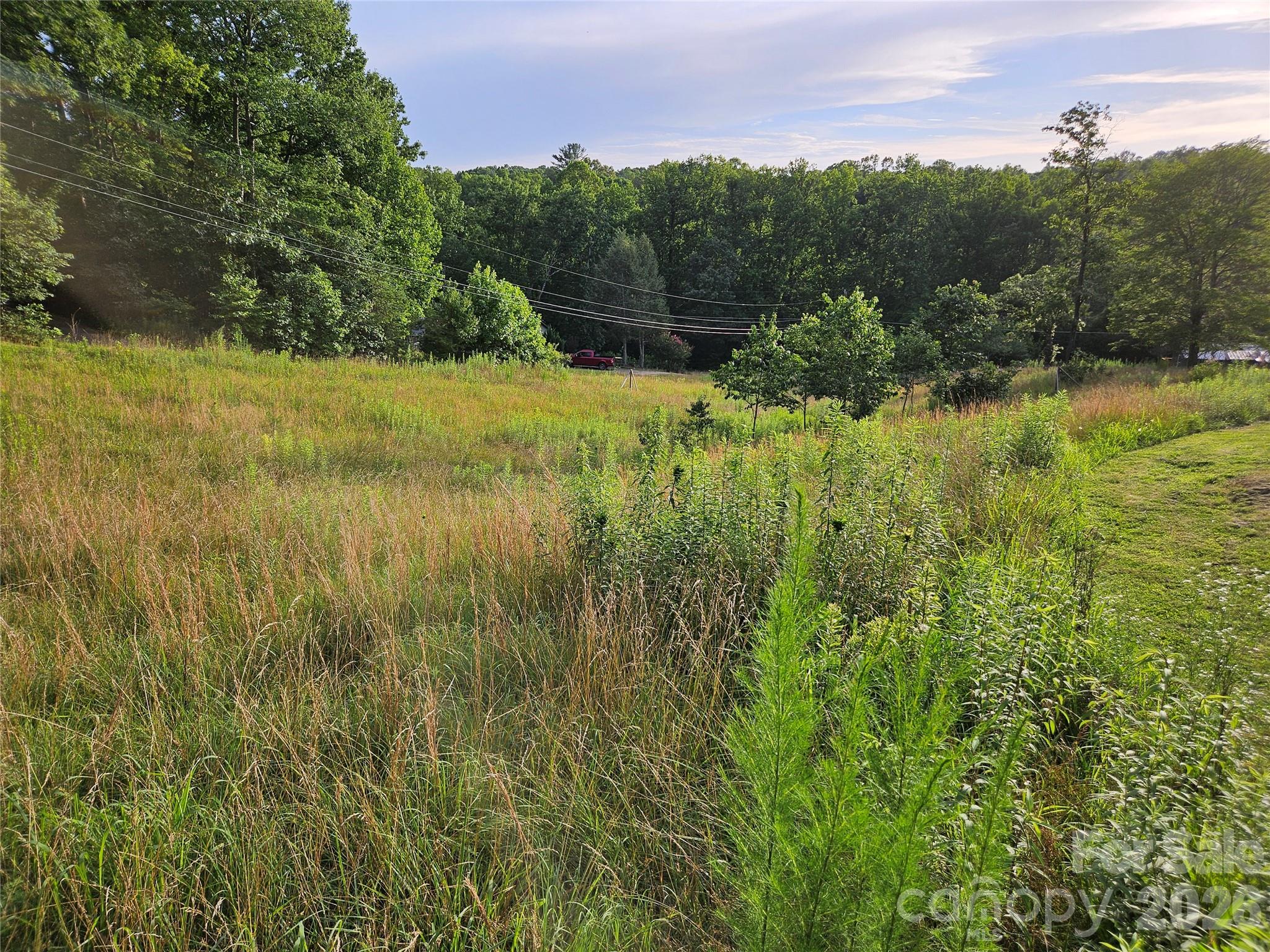 516 John Swofford Road Nebo, NC 28761 - Photo 5 of 47
