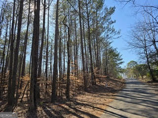 0 Lake Louella Road Northwest Suwanee, GA 30024 - Photo 1 of 1 Gallery Image 1