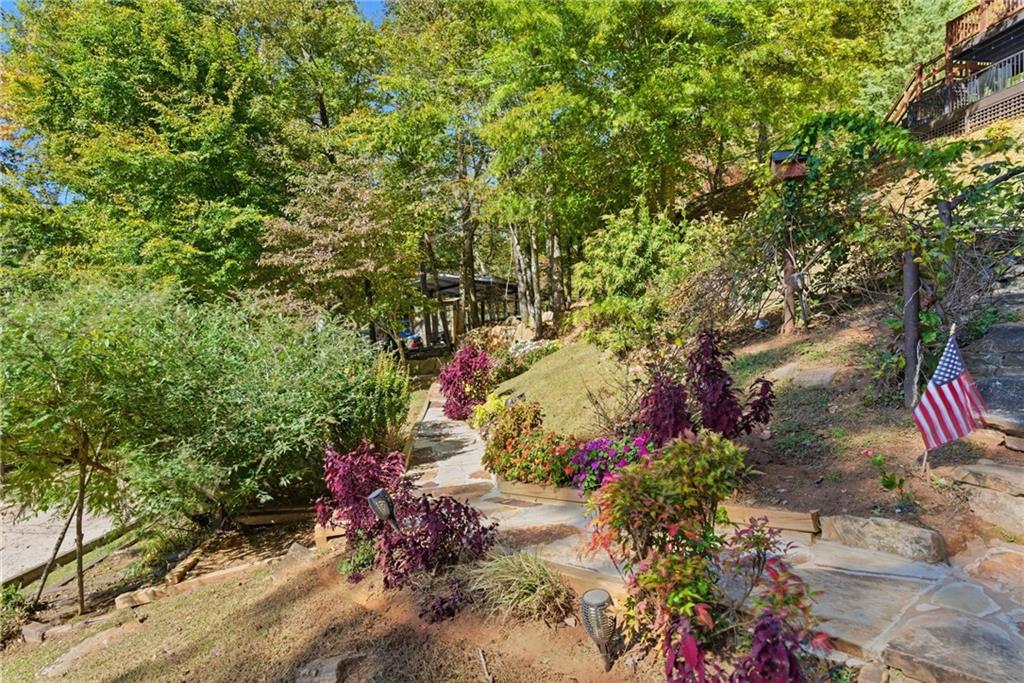 2003 Bend Of The River Road Hiawassee, GA 30546 - Photo 15 of 80 a view of a garden with plants and large trees