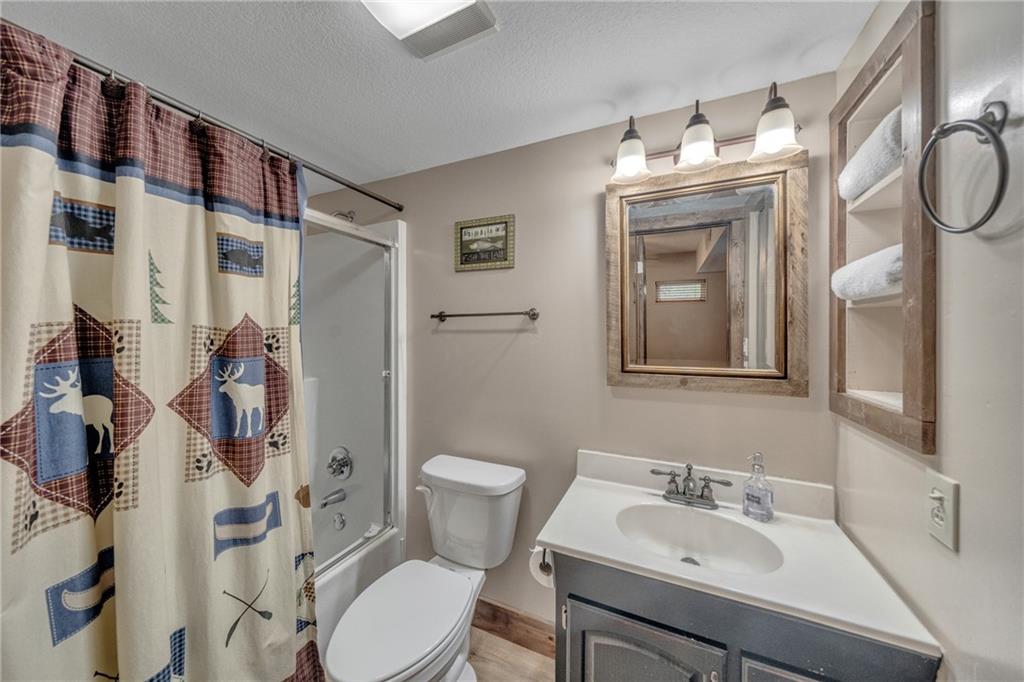 2003 Bend Of The River Road Hiawassee, GA 30546 - Photo 38 of 80 a bathroom with a sink toilet and shower