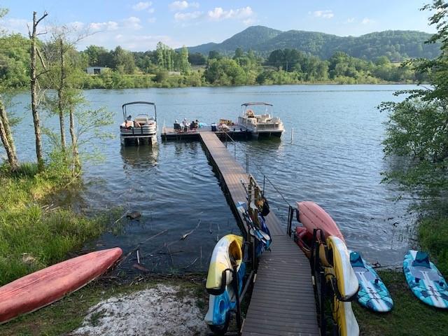 2003 Bend Of The River Road Hiawassee, GA 30546 - Photo 7 of 80 a view of outdoor space and yard