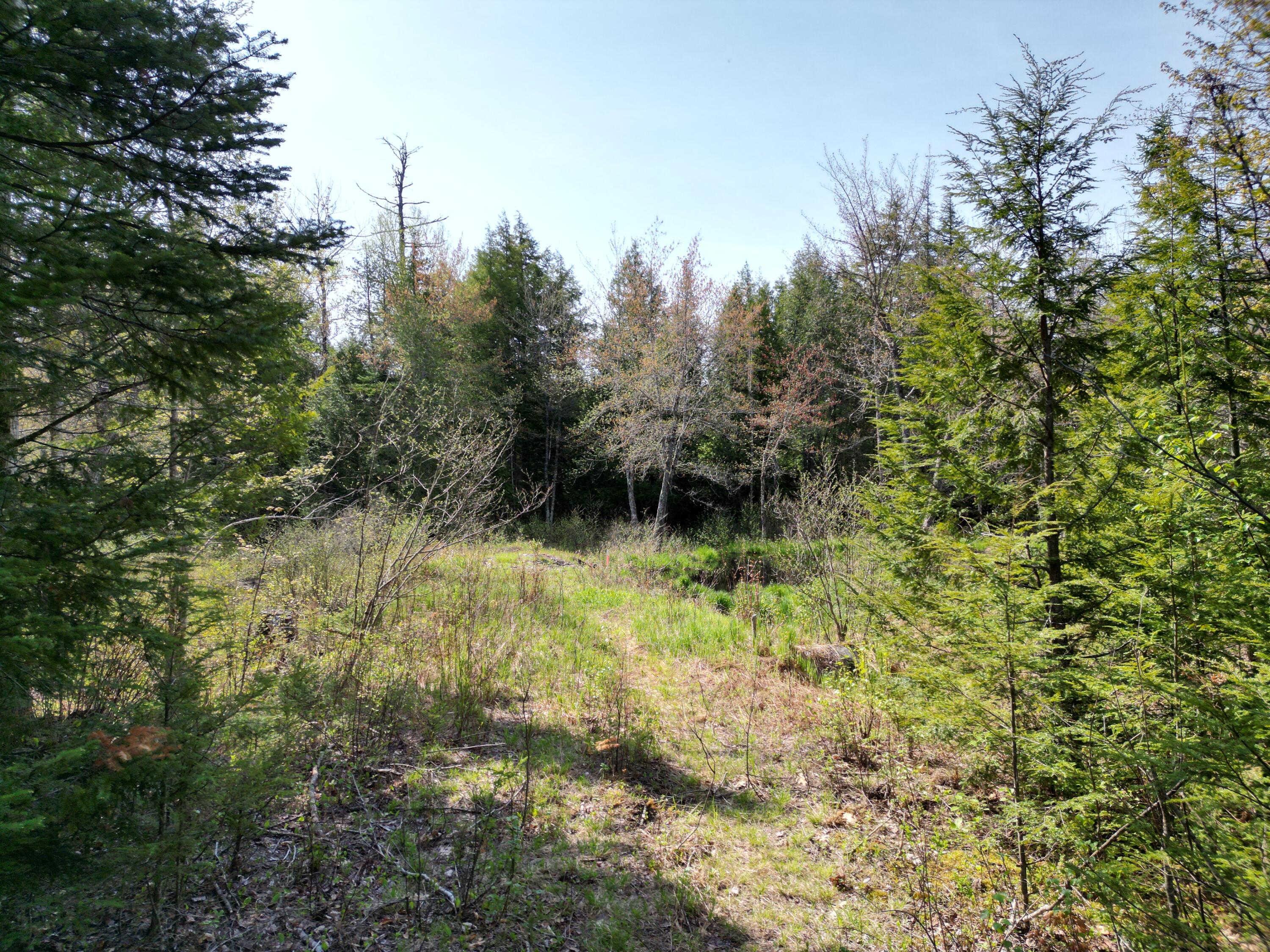 Lot 2 Off Mattamiscontis Road Howland, ME 04448 - Photo 9 of 16 DJI_0532