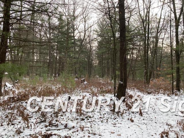 0 West Wackerly Road Sanford, MI 48657 - Photo 10 of 19