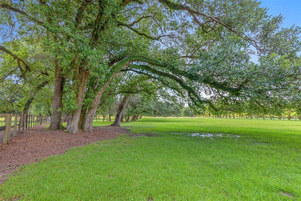 4490 Choupique Road Sulphur, LA 70665 - Photo 38 of 53