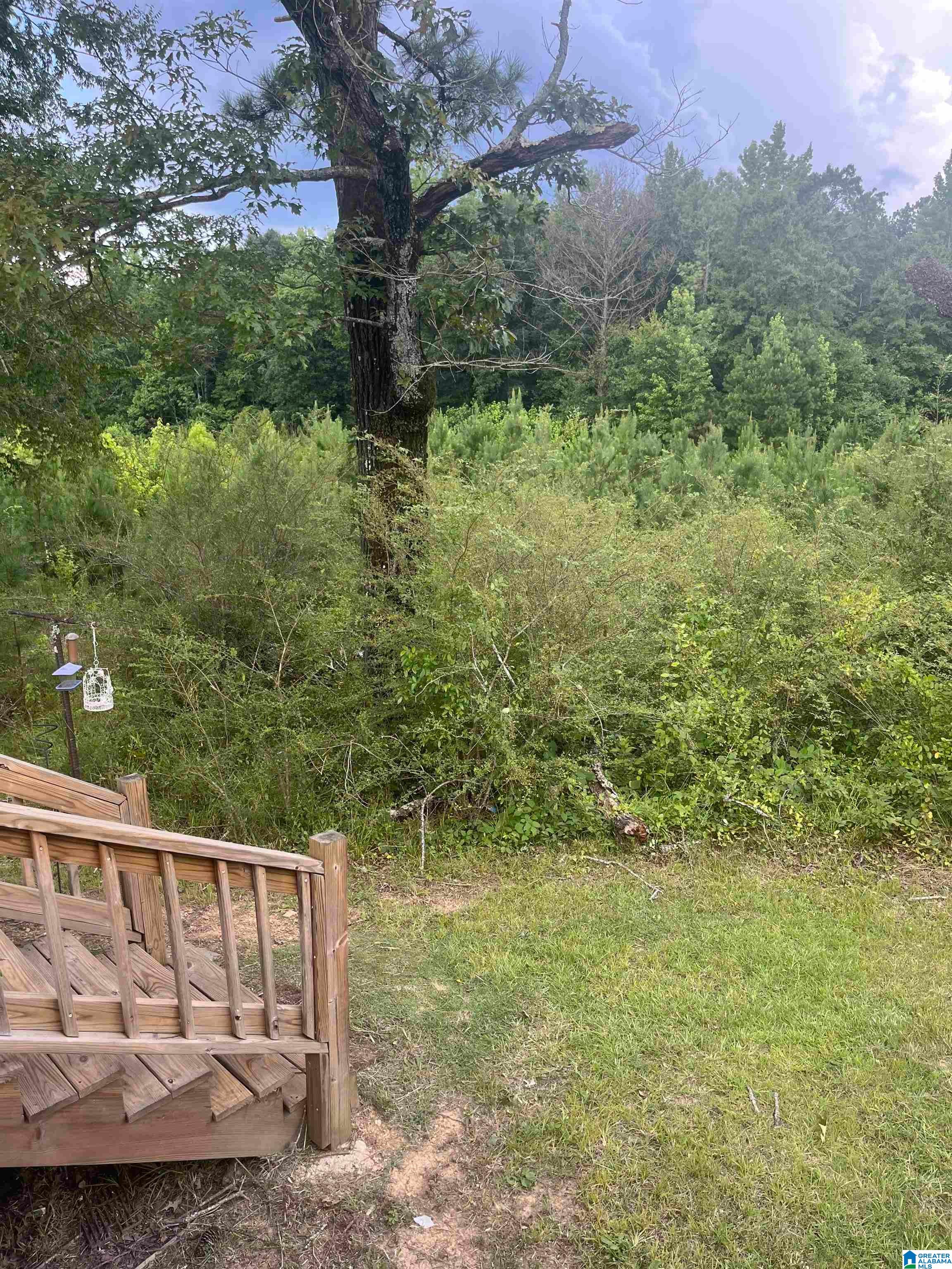 7000 Grey Hill Road West Blocton, AL 35184 - Photo 48 of 50