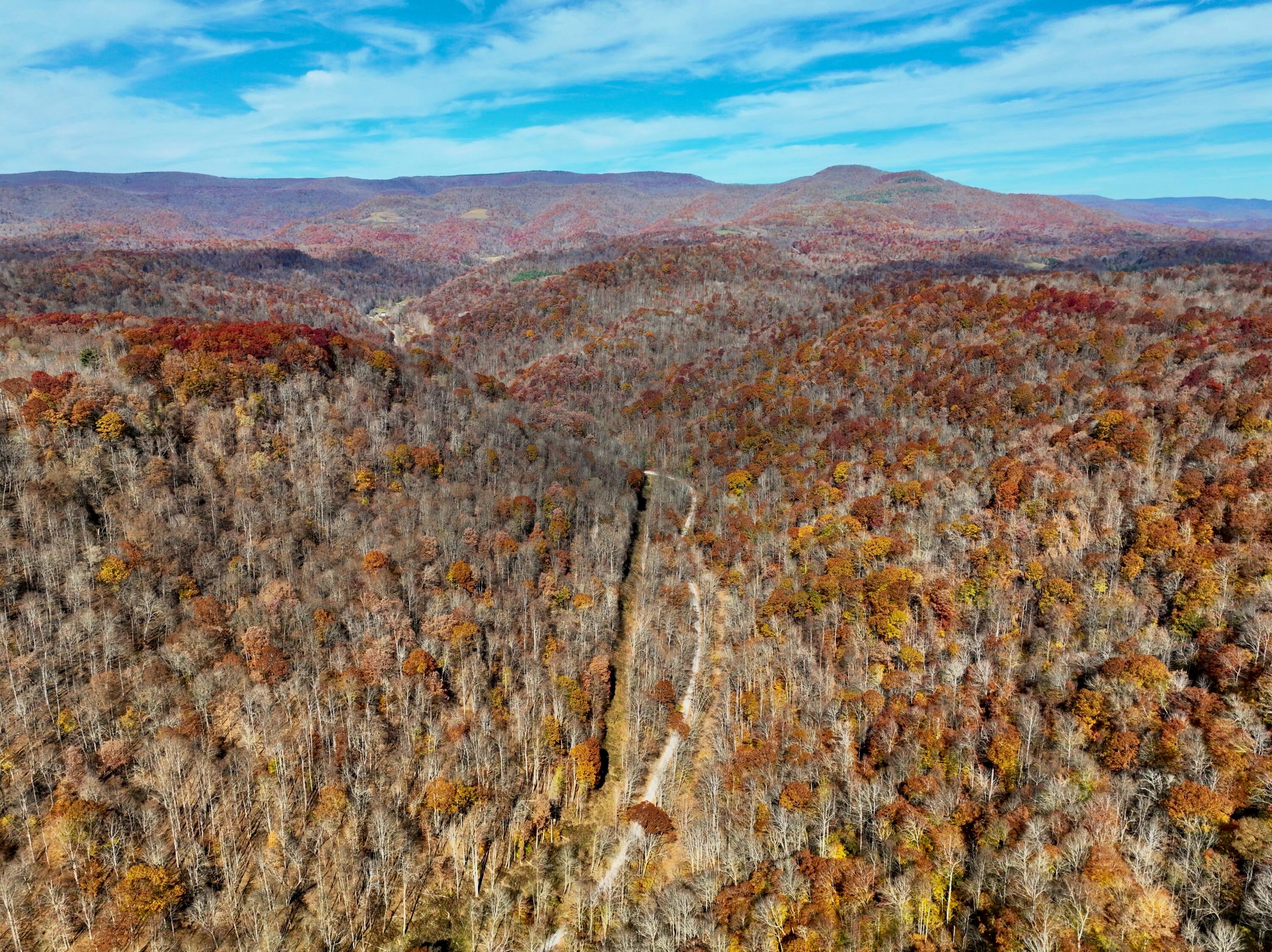 Robins Fork Road Renick, WV 24966 - Photo 25 of 34 Gallery Image 25