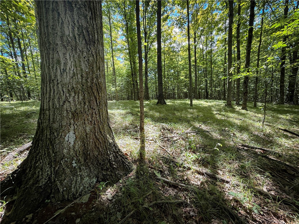 0 Cornell Hollow Road Endicott, NY 13760 - Photo 15 of 30 Gallery Image 15