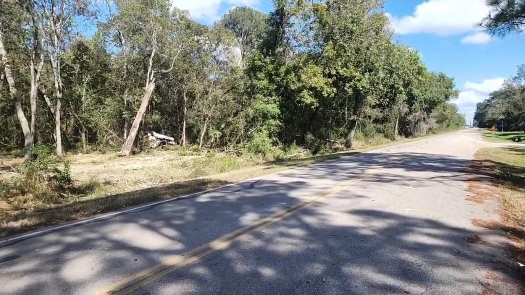 Tbd Tbd Tr Guy, TX 77444 - Photo 13 of 21 a view of a yard with trees