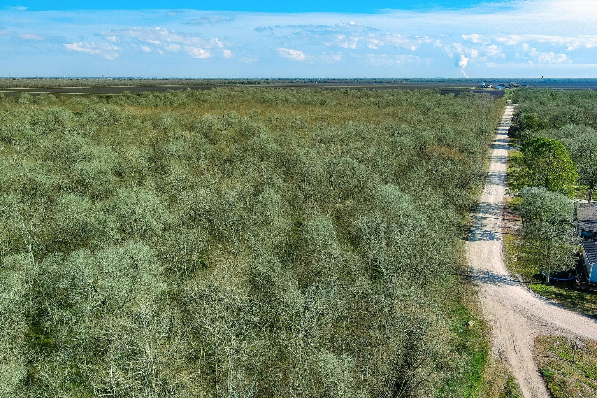 Tbd Tbd Tr Guy, TX 77444 - Photo 15 of 21 a view of an ocean from a yard