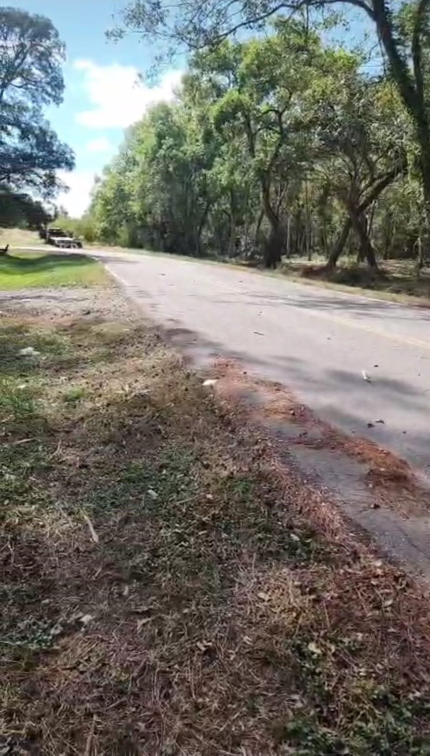 Tbd Tbd Tr Guy, TX 77444 - Photo 16 of 21 a view of yard with green space