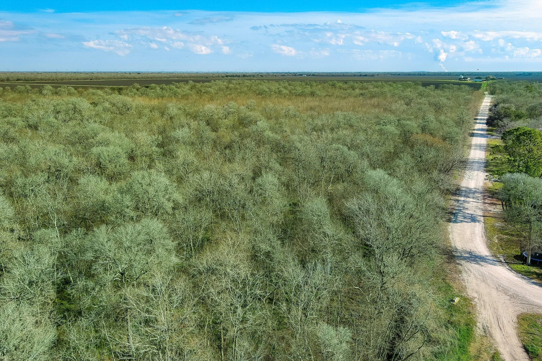 Tbd Tbd Tr Guy, TX 77444 - Photo 19 of 21 a view of yard with lake view