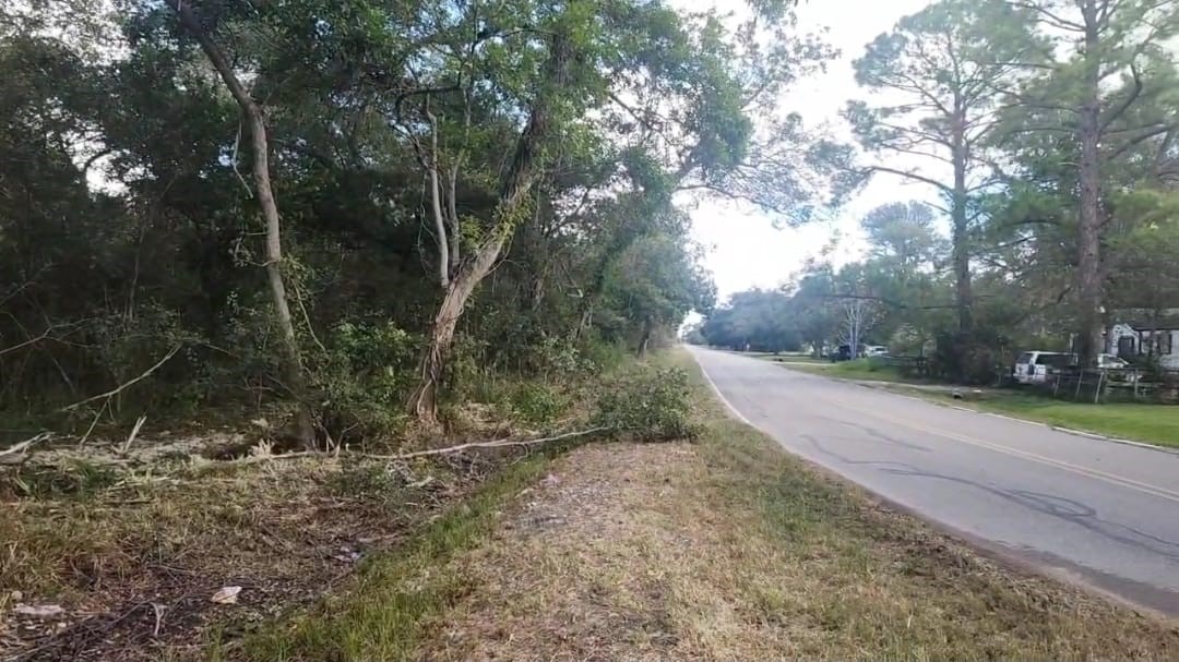 Tbd Tbd Tr Guy, TX 77444 - Photo 21 of 21 a view of a yard with plants and trees