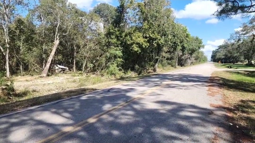 Tbd Tbd Tr Guy, TX 77444 - Photo 4 of 21 a view of a yard with trees
