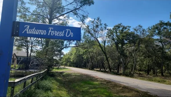a view of a street sign under a large tree