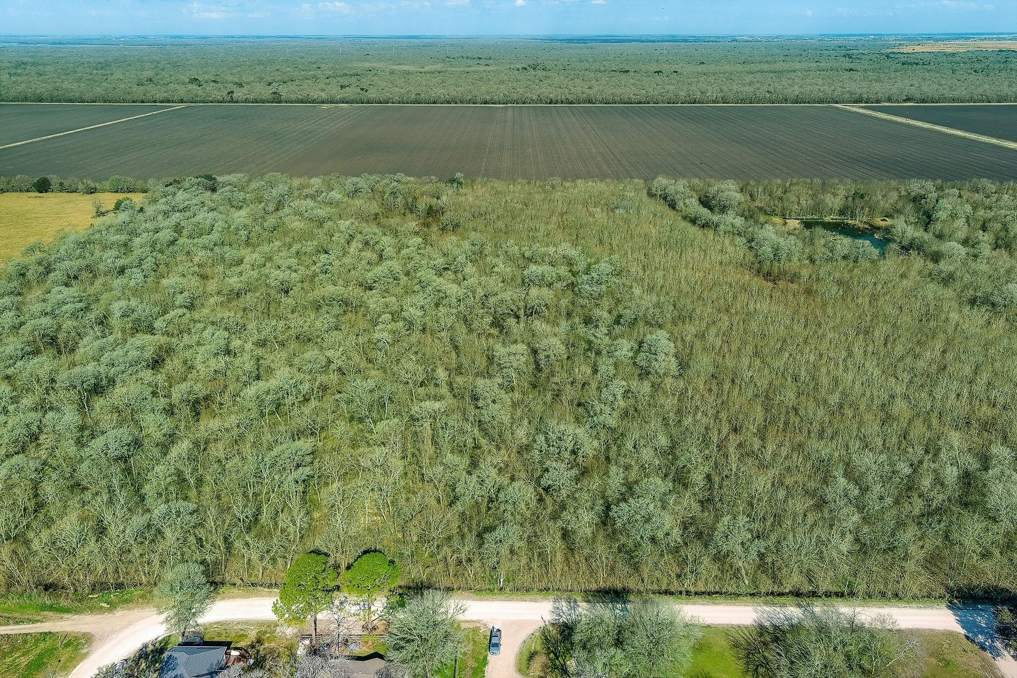Tbd Tbd Tr Guy, TX 77444 - Photo 8 of 21 a view of lake with green space