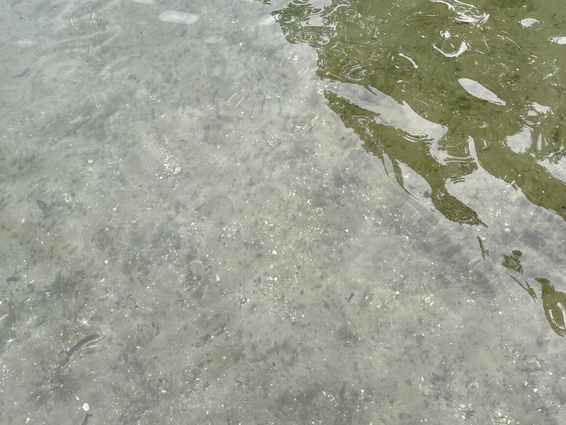 38276 North Eagle Lake Road Battle Lake, MN 56515 - Photo 35 of 37